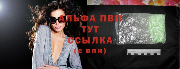 шишки Новодвинск