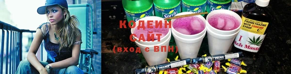 шишки Новодвинск