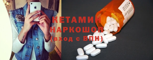 шишки Новодвинск