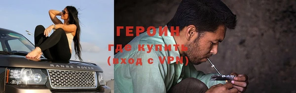 шишки Новодвинск