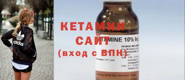 шишки Новодвинск