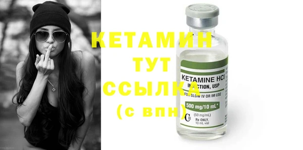 шишки Новодвинск