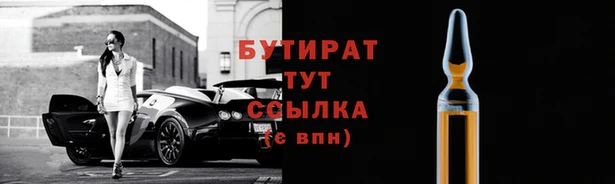 шишки Новодвинск