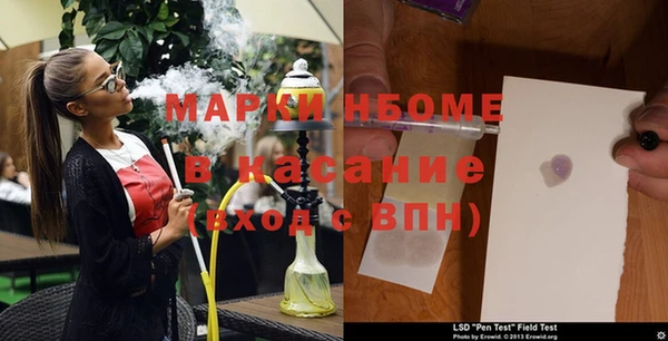 шишки Новодвинск