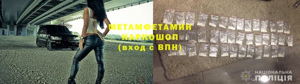 шишки Новодвинск