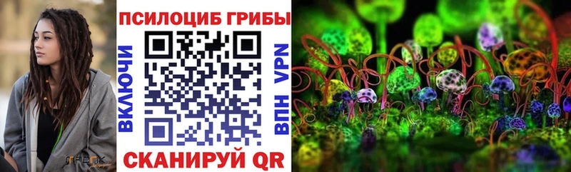 даркнет Telegram  Тавда  Псилоцибиновые грибы Magic Shrooms  где найти  