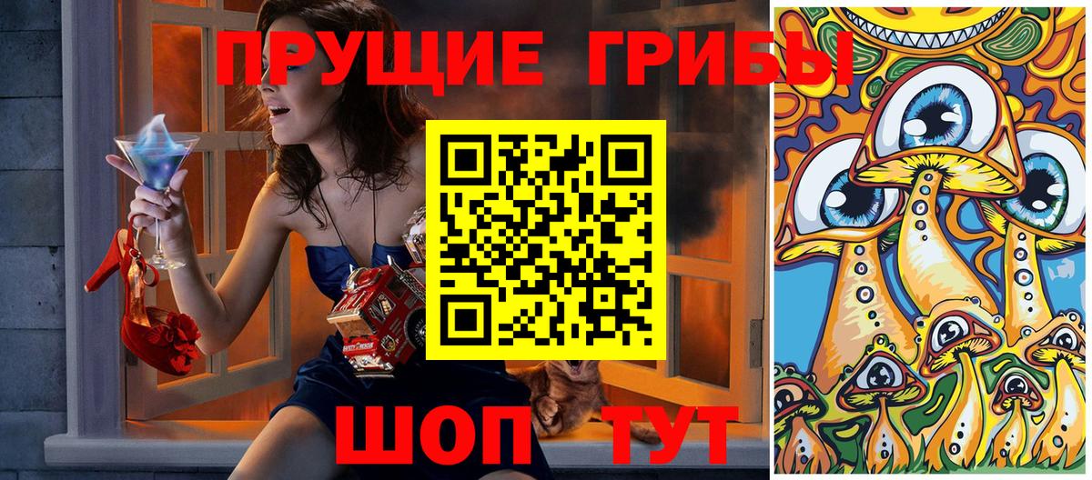 Галлюциногенные грибы Psilocybe  Псилоцибиновые грибы ЛСД  Тавда 