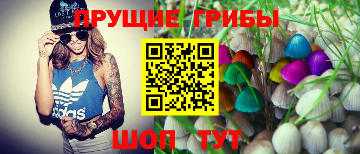 Галлюциногенные грибы ЛСД  Вход с VPN  Тавда 